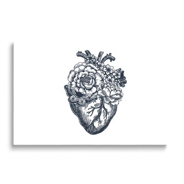THE HEART
